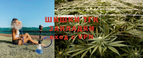стафф Бронницы