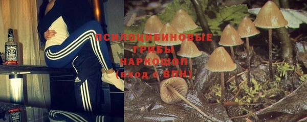 стафф Бронницы