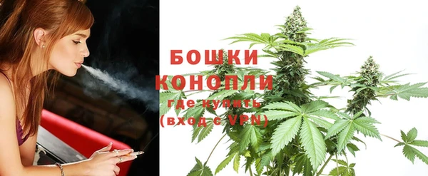 стафф Бронницы